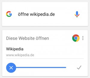 oeffne_wikipedia